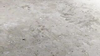 Funny videos ????????????? 4