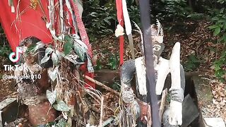 Ogwu juju