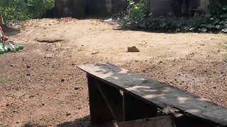 Iyi uwa mu