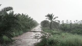 Today is weather
