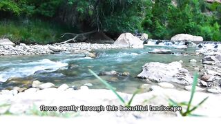 🇺🇸 Beautiful River in the USA | Peaceful American Nature 🌊🏞️