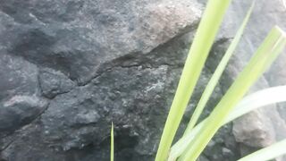 Discovery of black stone in the forest