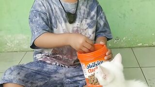 The little one sharing a snack with the white cat 🥹🐱❤️