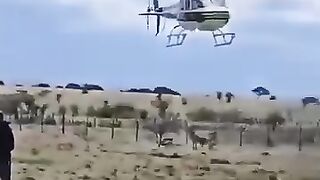 Maasai chasing their leaders away