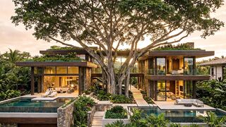 A Luxury Mansion Built Around a Giant Tree 🌳🏠