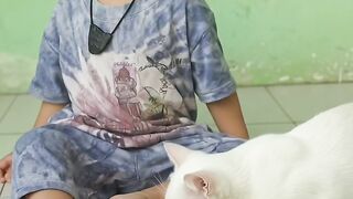 This white cat stole the little one's toy! 😂🐱