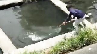 Nggak Nyangka! Nyari Ikan Pakai Serok Malah Panen Raya di Sungai Kecil