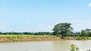 A  beautiful Nature in beautiful River
