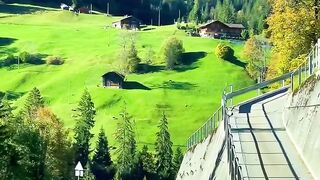 Swiss Beautifuls: Menemukan Ketenangan di Jantung Pegunungan Alpen 🏔️✨
