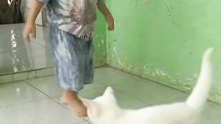 Little One Chasing a White Cat 😂🐱 | So Cute!