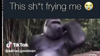 Dance with ape