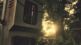 Shorts vibes cinematic cinematography