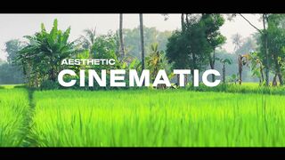 Cinematic shorts vibes daily