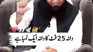 Molana Tariq Jameel biyaan for janat ki hoor