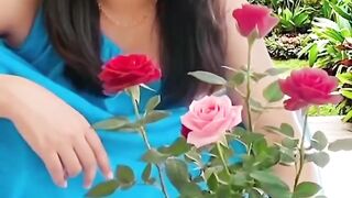 Roses 7