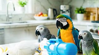 Give it up for the best actors in the kitchen! 🦜