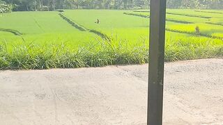 Resting at a roadside stall in the countryside