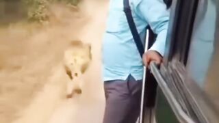 Funny videos?????????? 6