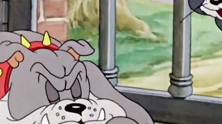 Tom vs. Spike: The Funniest Dog & Cat Showdown 😂🐱🐶 | Tom & Jerry