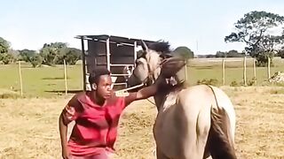 Funny videos?????? 3