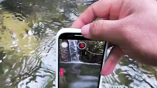 So Clear You Can See Every Fish! 💧 | A Crystal-Clear Underwater World