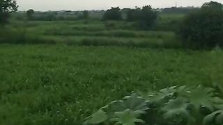 Green area after rain