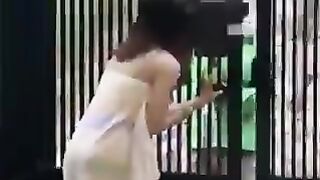 virall 3