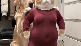 Why Cant This Cat Stop Laughing 😂 #Shorts