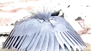 amaizing flower bird