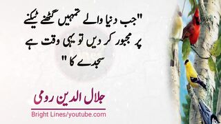 behut jald daulat mand hona chahtey ho tu | Romi quotes in urdu | motivational quotes