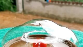 Satisfying Slow motion View ♥️
