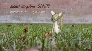 Juliet by Cavetown (Official Audio) - Animal Kingdom