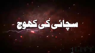 Facts video| Amazing video|Animal Facts