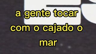 Motivaçaodiaria