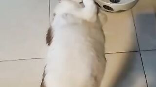 Когда устал