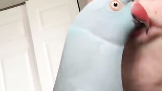 Goodness_
