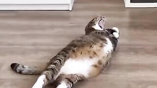 Когда в свои 4 года: