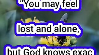 God Says | Message For Me | Quotes  #shorts