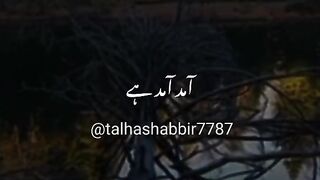 tariq jameel