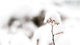 Snowfall beautiful video