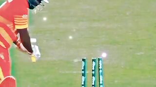 Shaheen Afridi brilliant bowling|cricket status