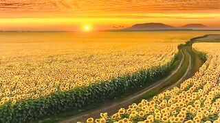 beautiful view