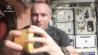 Honey in space