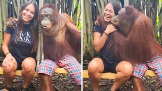 Viral funny monkey with women|Best 2023 funny if you like follow me