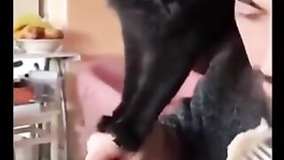 Funny and crazy cats PART 3