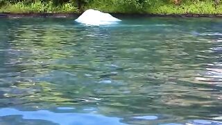 Jaws ride part three........