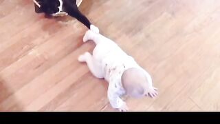 Cat vs babies