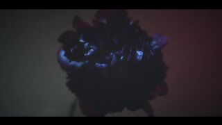 The Flower of Evil Episode 5 Kdrama in Hindi