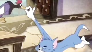 When You Try to Sleep Early Morning | Relatable Tom Meme | Funny Cartoon