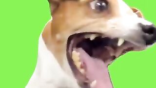#Funny #video! #viralvideo #funny #hindi #viral